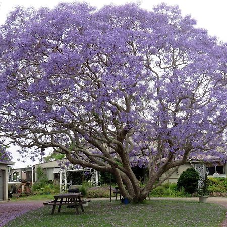 圣詹姆斯纳鲁马汽车旅馆 North Narooma 外观 照片