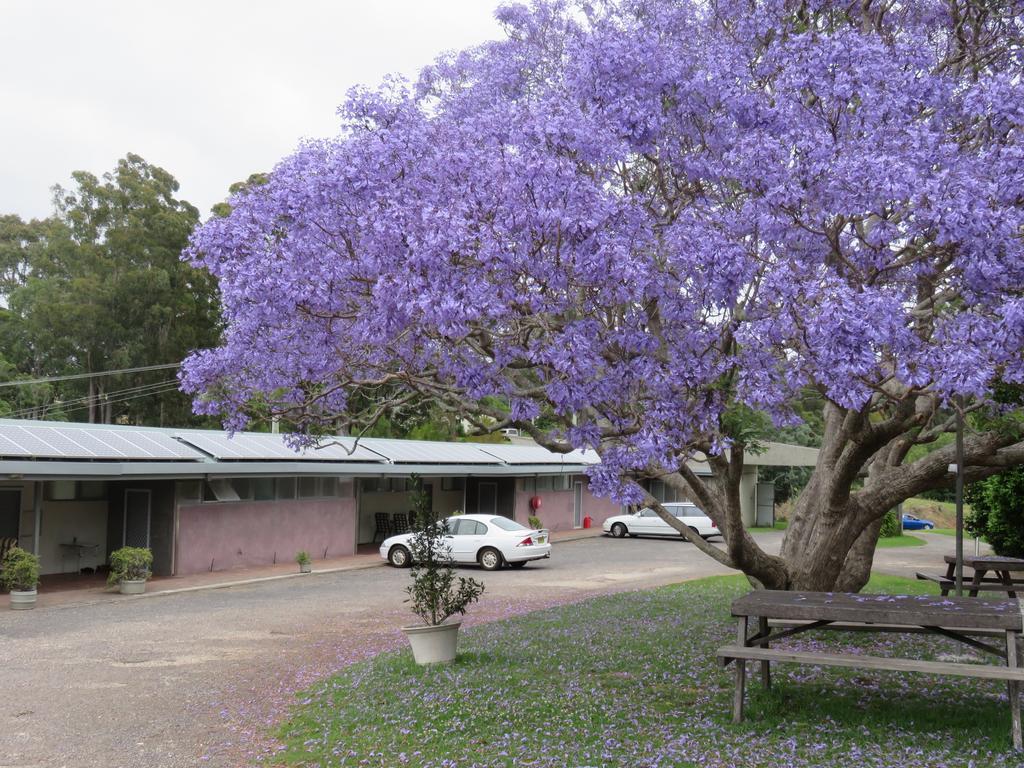 圣詹姆斯纳鲁马汽车旅馆 North Narooma 外观 照片