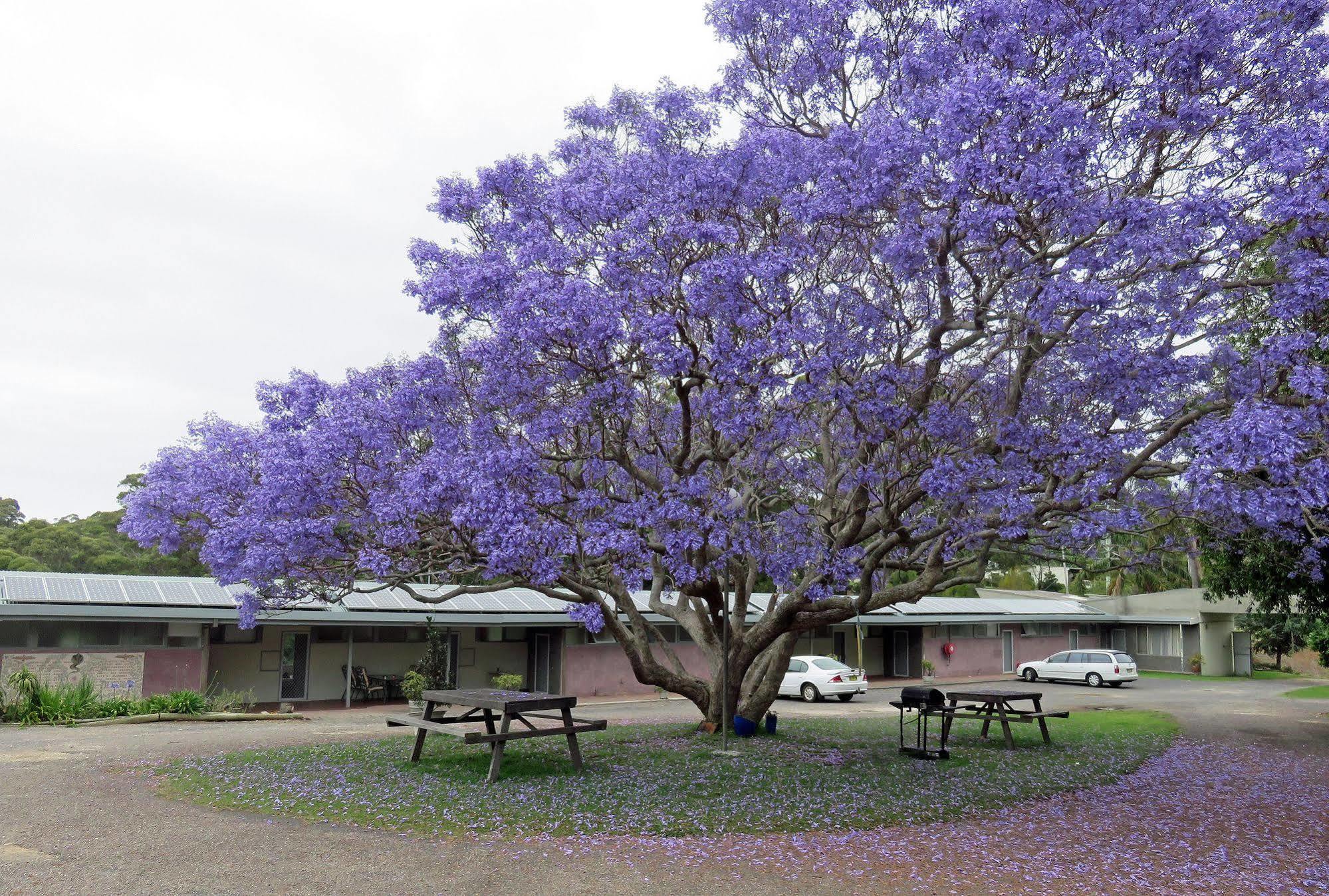 圣詹姆斯纳鲁马汽车旅馆 North Narooma 外观 照片